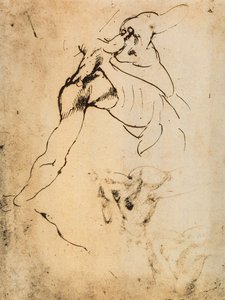 Male Anatomical Study by Michelangelo Buonarroti